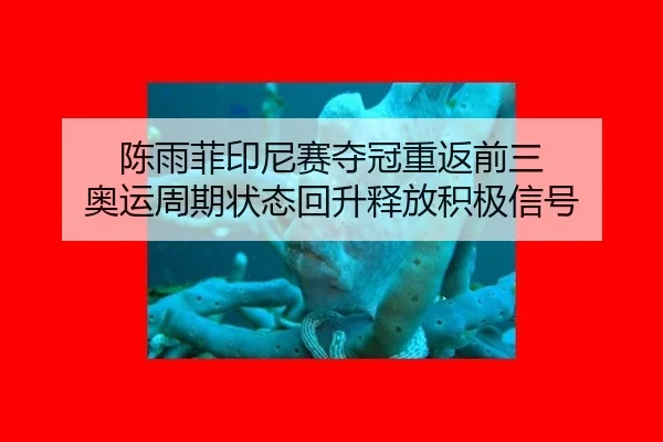 chen-yu-fei-yin-ni-sai-duo-guan-chong-fan-qian-san-ao-yun-zhou-qi-zhuang-tai-hui-sheng-shi-fang-ji-ji-xin-hao-2-518.jpg