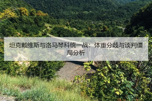 tan-ke-dai-wei-si-yu-luo-ma-qin-ke-tong-yi-zhan-ti-zhong-fen-qi-yu-tan-pan-jiang-ju-fen-xi-2-414.jpg